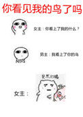 你看见我的鸟了吗你看见我的鸟了吗